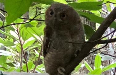 Misty Creek Log Cabins - Foto 10