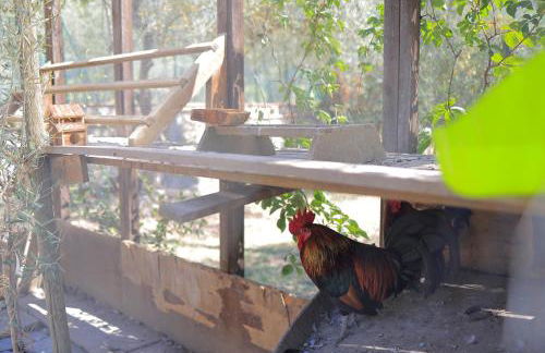 Agriturismo Villa Guarnaschelli - Foto 67