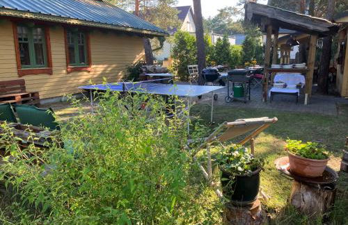 Alexanderhaus, Pension und Restaurant - Photo 69