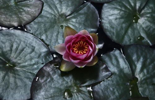 Fattoria San Paolo Agriturismo - Foto 9