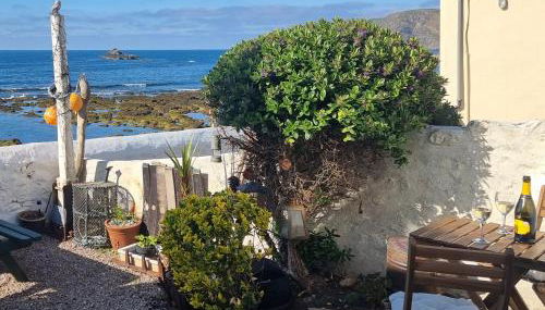 The Windowky - Foto 2