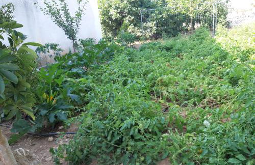 Da Nonna Cosimina - Foto 7