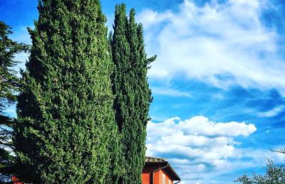 Agriturismo Sant'Ellero - Foto 1