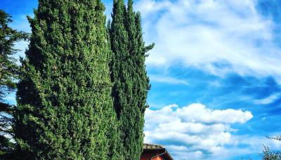 Agriturismo Sant'Ellero - Foto 1