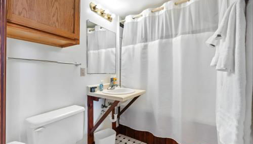 Jacuzzi 1BR loft with den and office-open concept - Foto 5, towels, Shower