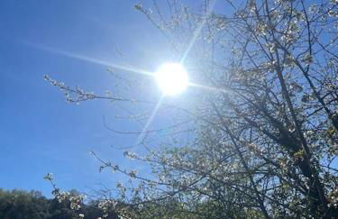 Casa rural La Frambuesa - Foto 42