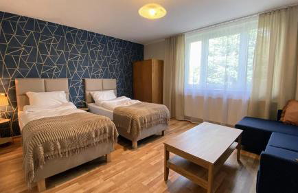 Siedlisko pod Kasztanem - Foto 11