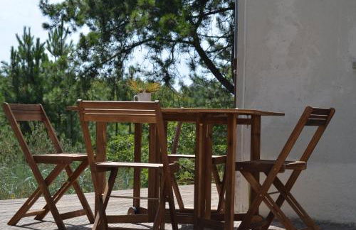 La villa dans les pins - Photo 25