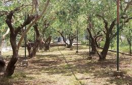 Baćina Lakes - Apartment Jelena - Foto 35