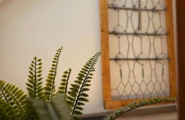 komham-walberla - Foto 15