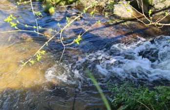 Quinta da Utopia - Foto 63