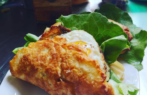 Pałac Paprotno - Foto 75