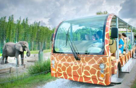 2 MI to USF + Long Term Stays allowed + Gym + Pool - Foto 60