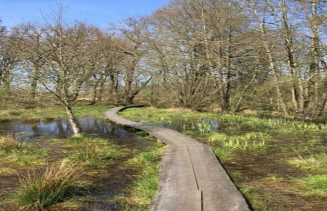 Chalet With Dishwasher Near Nature Reserve - Foto 33