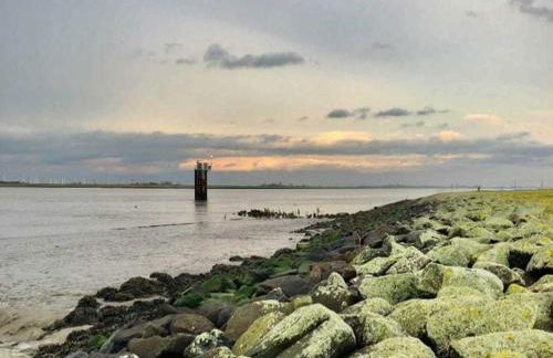 Ferienhaus Dollartbrise 45005 - Foto 24