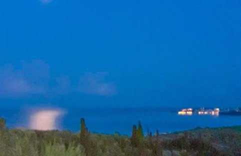 Ανεμώνη - Anemoni - Foto 16