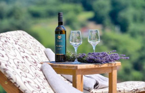 Gorgeous Home In Martinkovec With Sauna - Foto 22