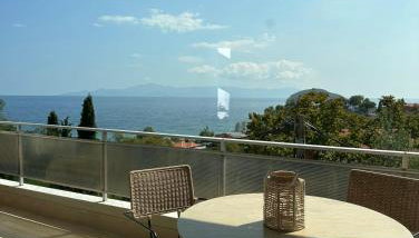 Olivia -Ελιά - Foto 3