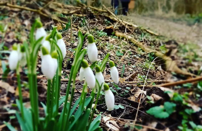 Holiday Home Paunovaca - Foto 24