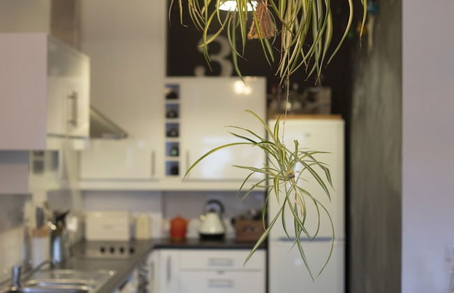 Old Town Grade II Listed 2 Bed - Foto 13