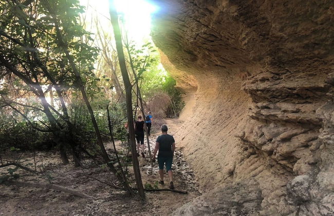 Lovely 10-bed Villa With Private Pool & Garden - Foto 35