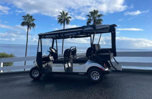 Catalina Island Getaway With 6 Seat Golf Cart Ac - Foto 29