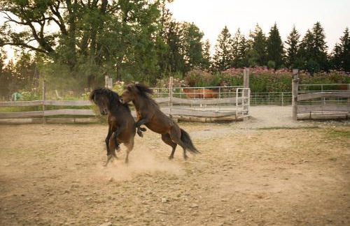 Gronewald's Mountain View Holidays - Foto 26