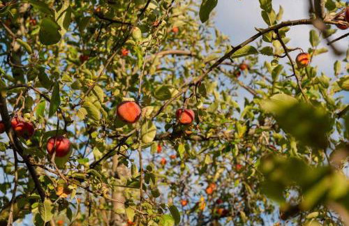 Lake Orchard View- 8 BR with Lake Access and Fire Pit - Foto 55