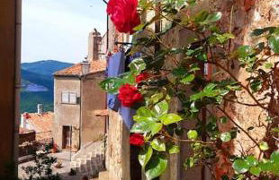 Casa Il girasole - Foto 13