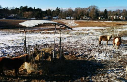 Apartment am Schwielochsee by Interhome - Photo 19