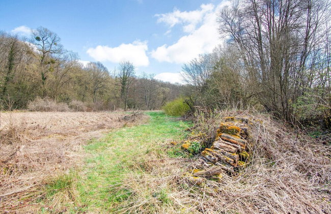 Holiday Home in Philippeville With Garden - Foto 35