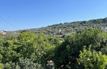 Traditional Grandma's house - Foto 6