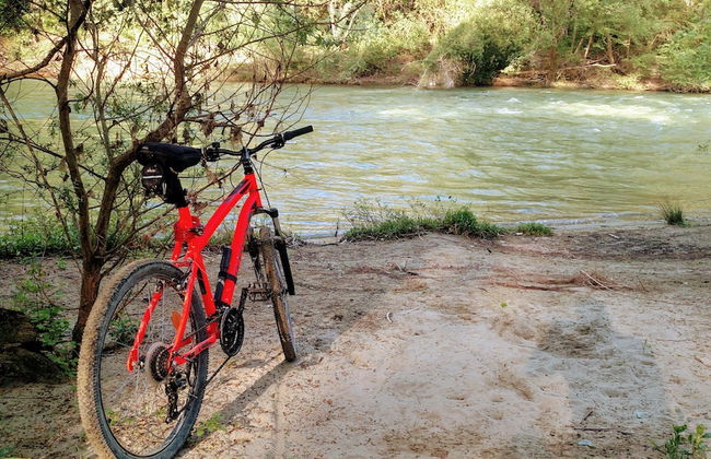 Il Querceto - B&B e Appartamenti Vacanze - Foto 41