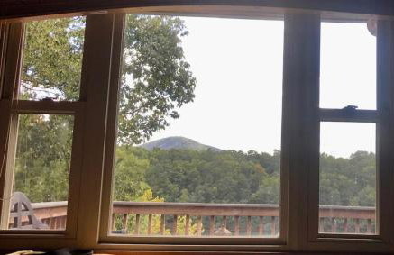 Cute and Comfy Cabin - Foto 47