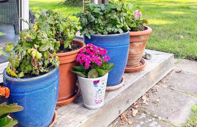 4 Star Holiday Home in Bergkvara-by Traum - Foto 21