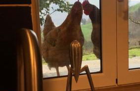 CHILL & ZEN - Caserío Itxaiz - - Photo 22