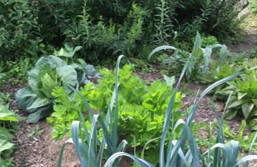 Landhaus Almyssen - Foto 35