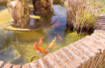 Interpares Swimmingpool by Del Parque Flats - Photo 58