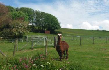 The Bake House (Berryl Farm Cottages) - Foto 19
