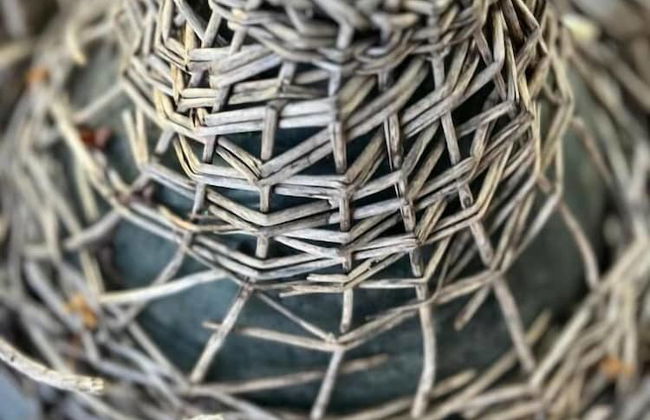 Poggio Roseto - Foto 72