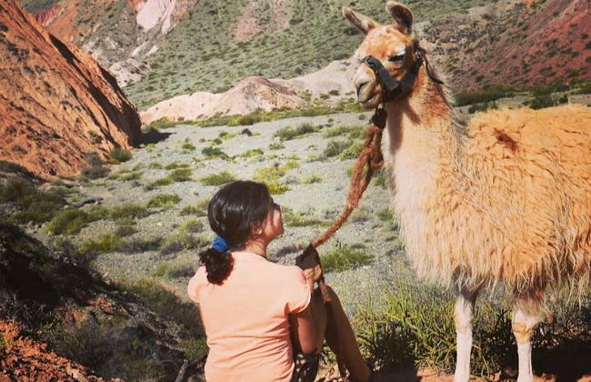Hike with Llamas in Purmamarca - Photo 3
