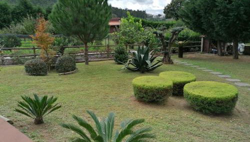 CAMPO DE SOBARBO - Guest House rural - Foto 3