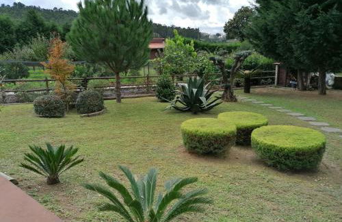 CAMPO DE SOBARBO - Guest House rural - Foto 3