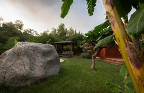 El jardín del Edén - Foto 37