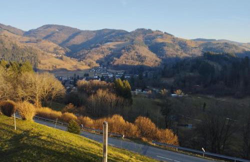 Ferienwohnung Bergzauber Schwarzwald - Foto 15