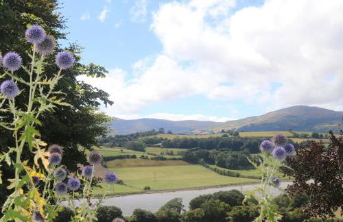 Tyn Y Coed Farm House - Foto 23