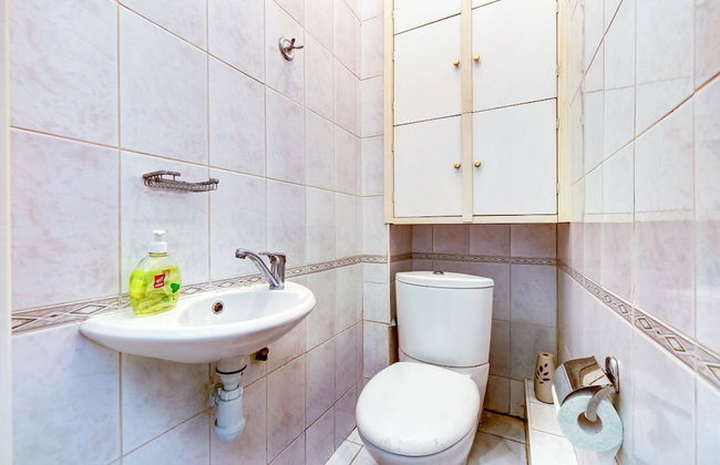 AG Apartment Moskovsky 216 - Foto 12