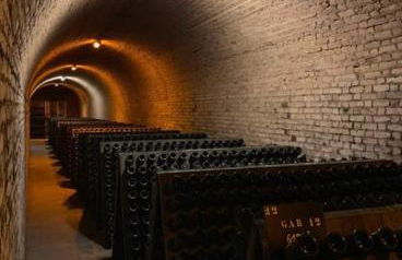 Au cœur du vignoble champenois - Foto 15