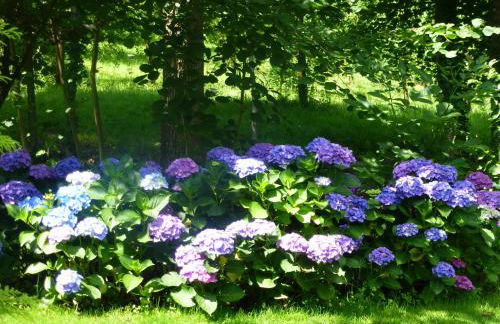 Baumanns Landhaus Durbach - Foto 60