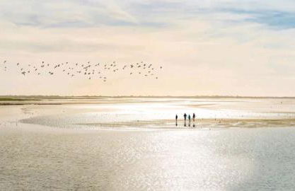 Maison Calme Terrasse et Jardin Vue Forêt - Foto 58